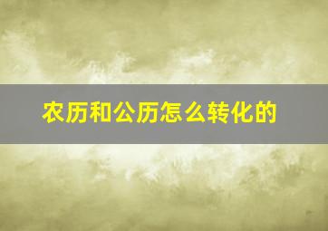 农历和公历怎么转化的