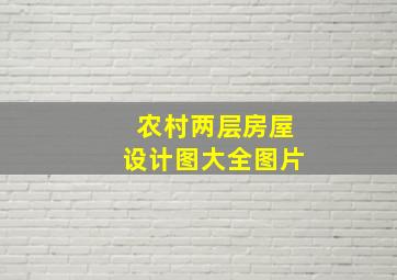 农村两层房屋设计图大全图片