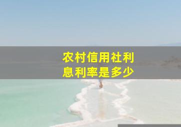 农村信用社利息利率是多少