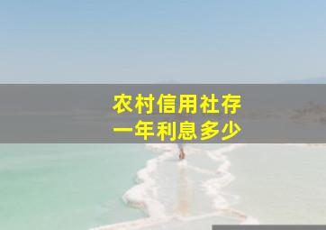 农村信用社存一年利息多少