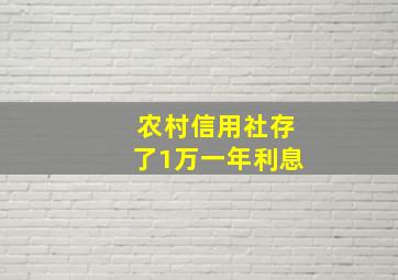 农村信用社存了1万一年利息