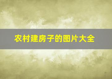 农村建房子的图片大全