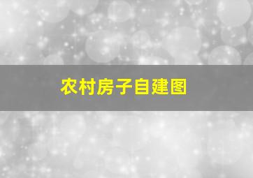 农村房子自建图