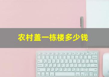 农村盖一栋楼多少钱