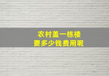 农村盖一栋楼要多少钱费用呢