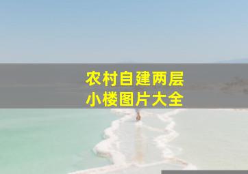 农村自建两层小楼图片大全