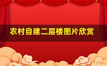 农村自建二层楼图片欣赏