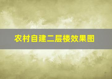 农村自建二层楼效果图