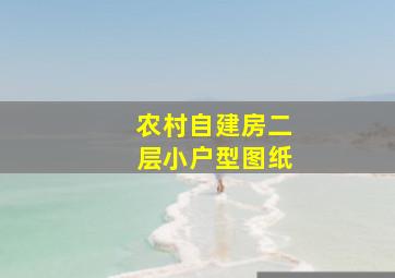 农村自建房二层小户型图纸