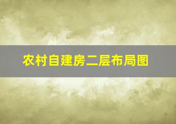 农村自建房二层布局图