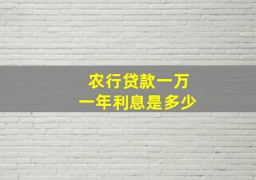 农行贷款一万一年利息是多少