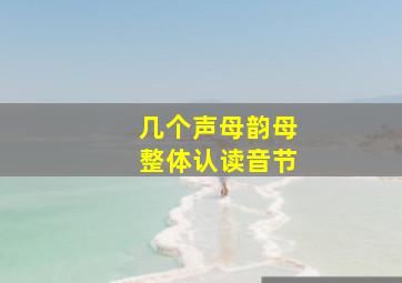 几个声母韵母整体认读音节