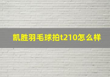 凯胜羽毛球拍t210怎么样