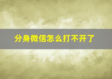 分身微信怎么打不开了