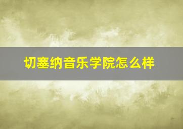 切塞纳音乐学院怎么样