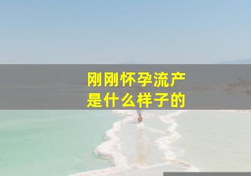 刚刚怀孕流产是什么样子的