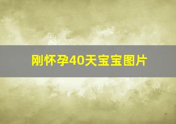 刚怀孕40天宝宝图片