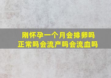 刚怀孕一个月会排卵吗正常吗会流产吗会流血吗