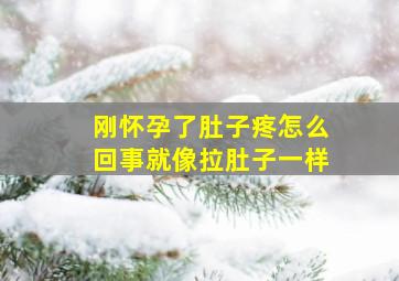 刚怀孕了肚子疼怎么回事就像拉肚子一样