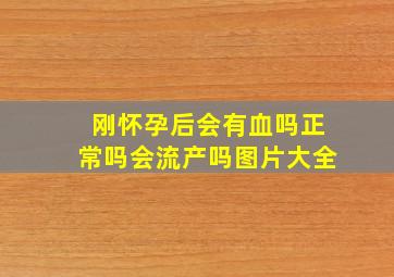 刚怀孕后会有血吗正常吗会流产吗图片大全