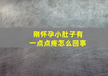 刚怀孕小肚子有一点点疼怎么回事