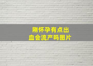 刚怀孕有点出血会流产吗图片