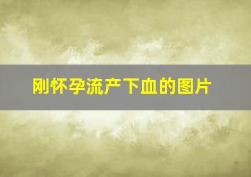 刚怀孕流产下血的图片