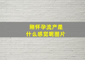 刚怀孕流产是什么感觉呢图片