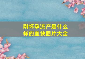 刚怀孕流产是什么样的血块图片大全