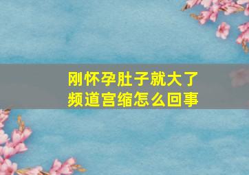 刚怀孕肚子就大了频道宫缩怎么回事