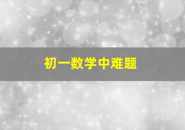 初一数学中难题