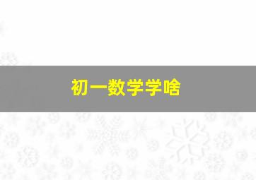 初一数学学啥