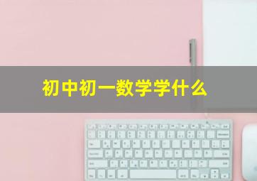 初中初一数学学什么