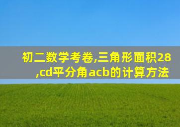 初二数学考卷,三角形面积28,cd平分角acb的计算方法