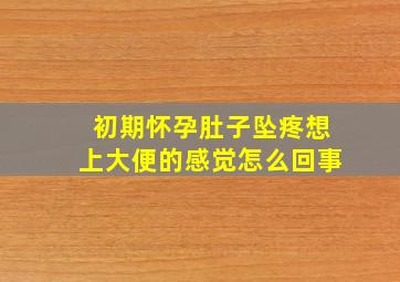 初期怀孕肚子坠疼想上大便的感觉怎么回事