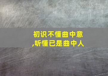 初识不懂曲中意,听懂已是曲中人