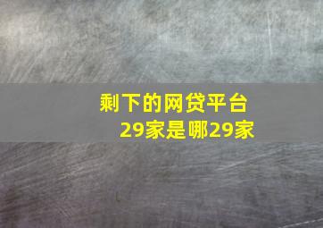 剩下的网贷平台29家是哪29家