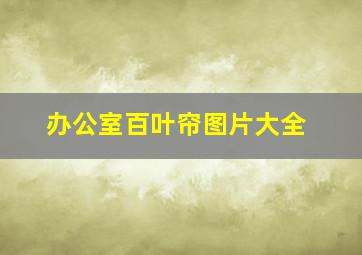 办公室百叶帘图片大全