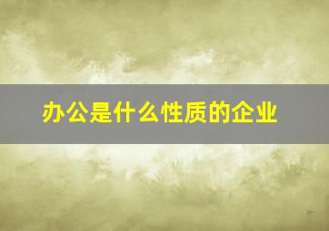 办公是什么性质的企业