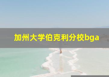 加州大学伯克利分校bga