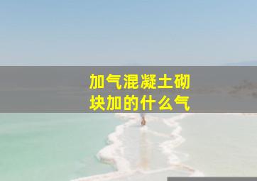 加气混凝土砌块加的什么气