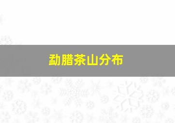 勐腊茶山分布