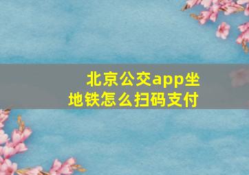 北京公交app坐地铁怎么扫码支付