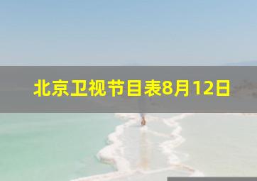 北京卫视节目表8月12日