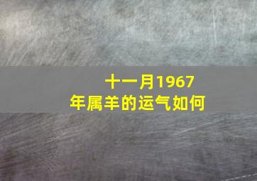 十一月1967年属羊的运气如何