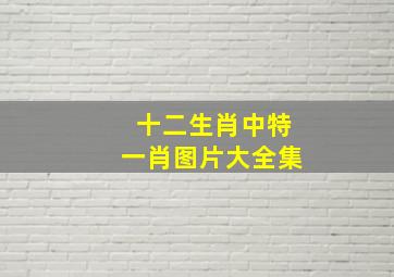 十二生肖中特一肖图片大全集