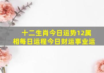 十二生肖今日运势12属相每日运程今日财运事业运