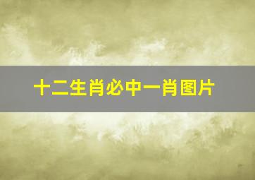 十二生肖必中一肖图片