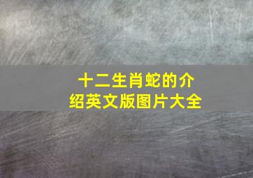 十二生肖蛇的介绍英文版图片大全