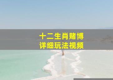 十二生肖赌博详细玩法视频